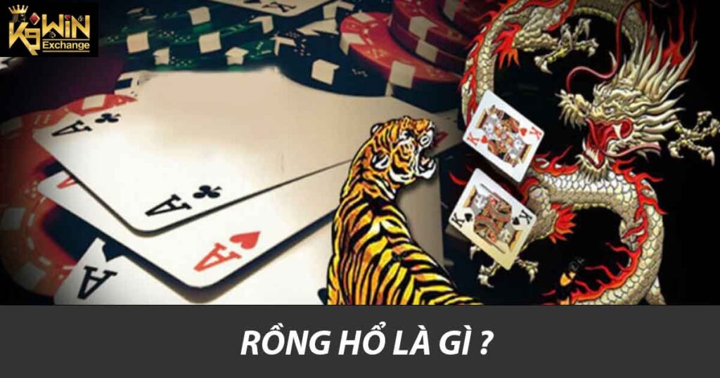 Rồng hổ là gì ?