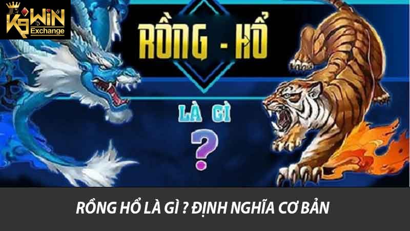 Rồng Hổ là Gì ? Định nghĩa cơ bản